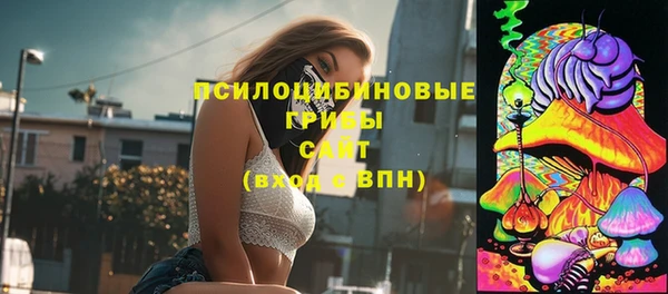 прущая мука Аркадак