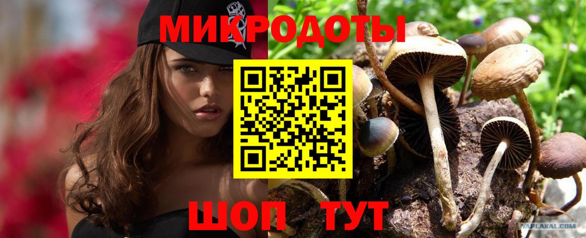 Псилоцибиновые грибы GOLDEN TEACHER  Вход с VPN  Чернушка  Галлюциногенные грибы Magic Shrooms 