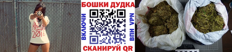 Шишки марихуана ГИДРОПОН  Чернушка 